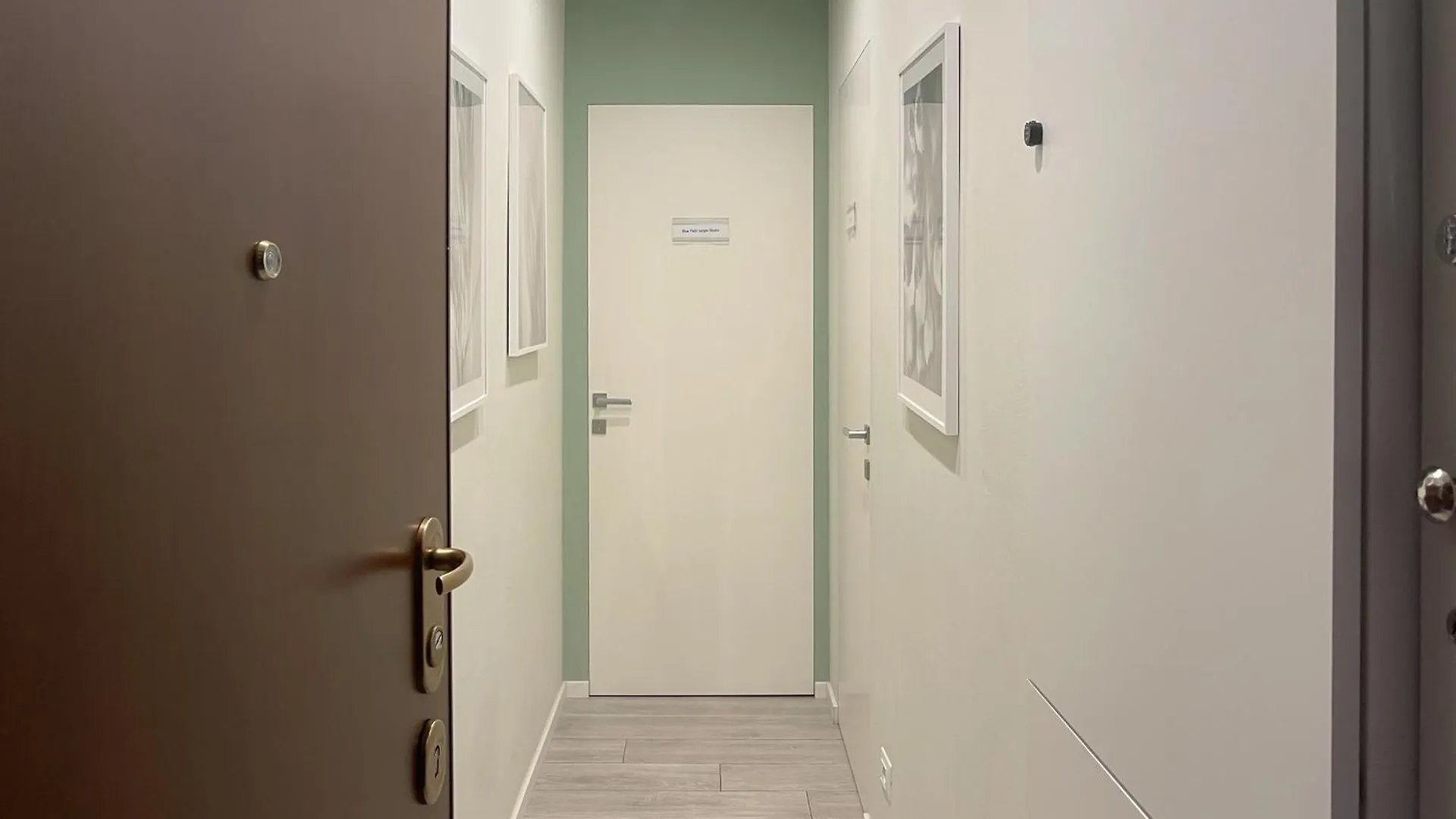 Apartment Blue Palm Jungle Studio Self Checkin Design Milan